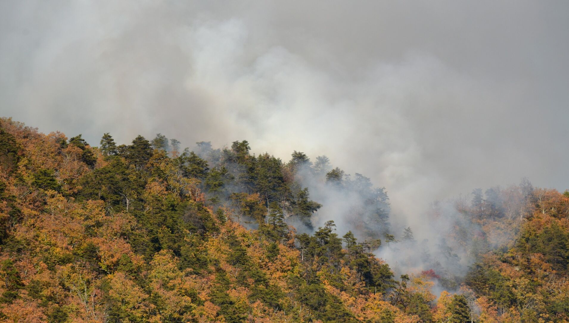Sauratown Mountain fire